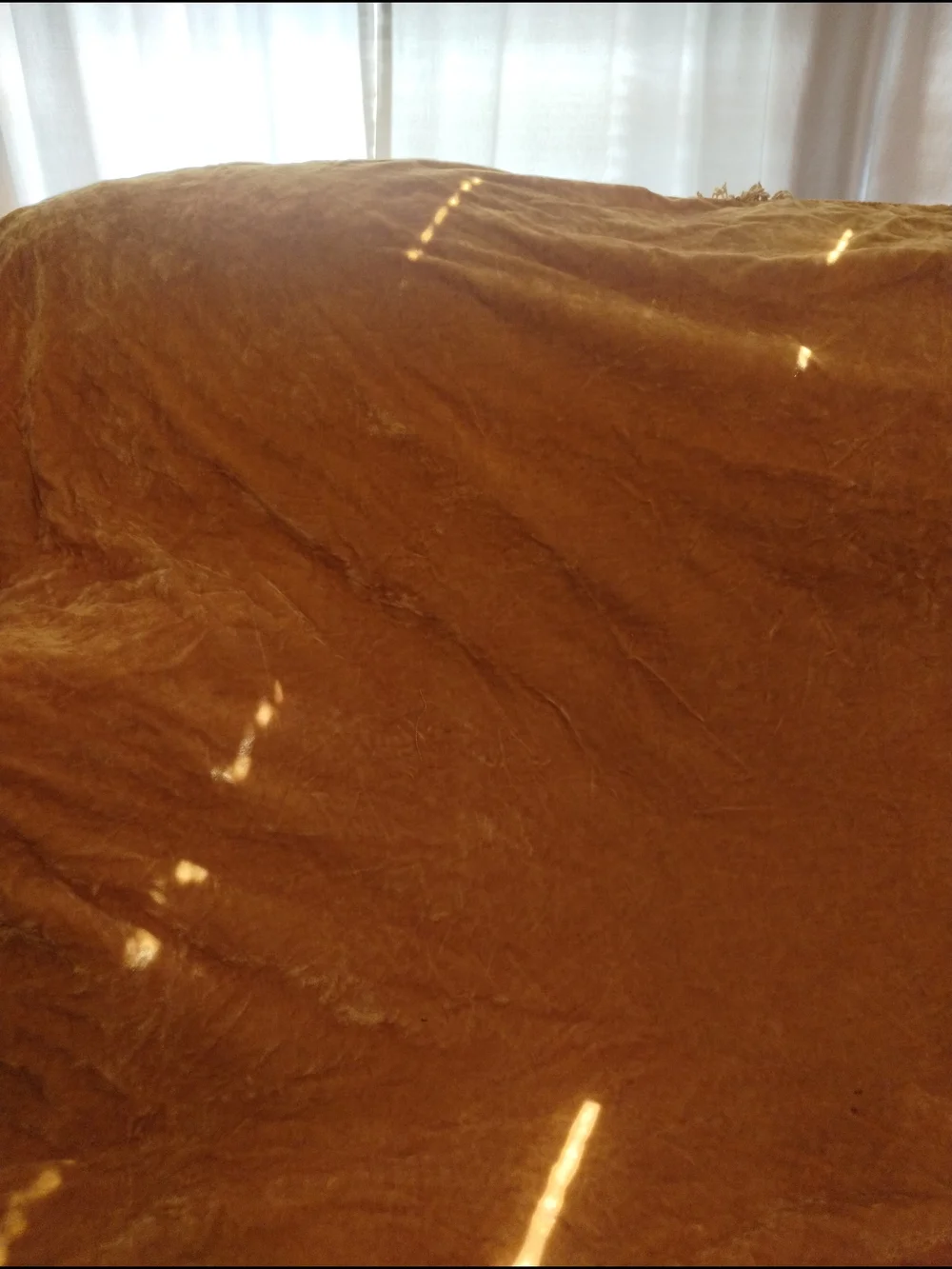Vintage Velvet Golden Yellow Bed Cover Twin